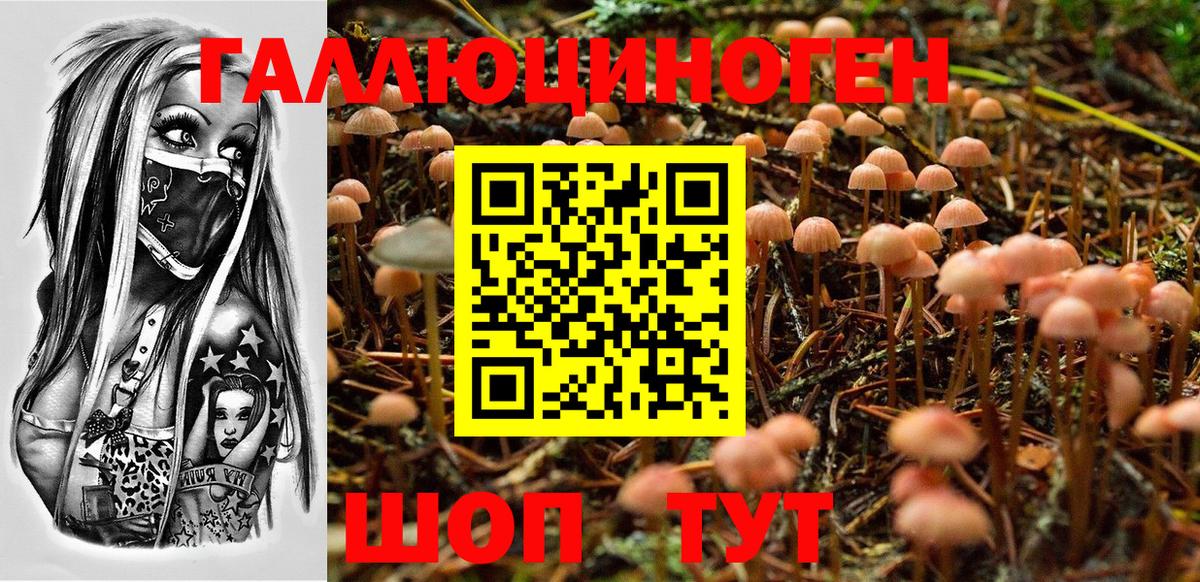 Галлюциногенные грибы ЛСД Жуковский